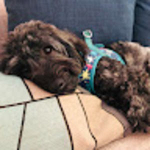 Meet your Posher, Corrina